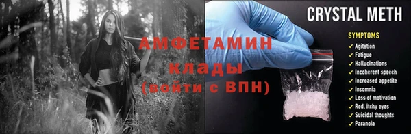 трава Бородино
