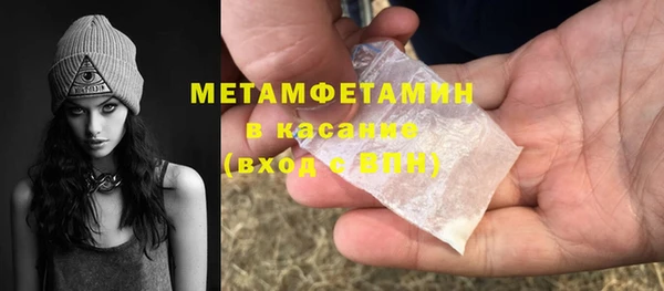 трава Бородино