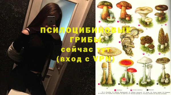 прущие грибы Бугульма