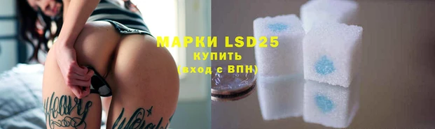 прущие грибы Бугульма
