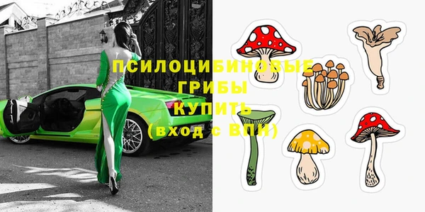 трава Бородино