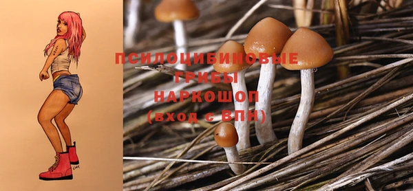 прущие грибы Бугульма