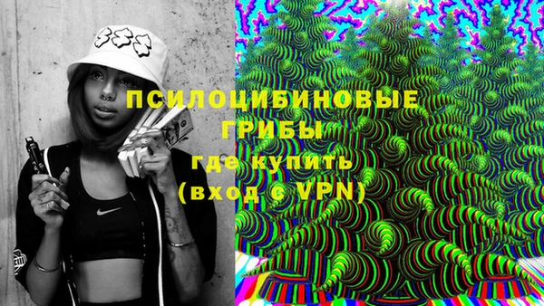 трава Бородино