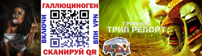 Псилоцибиновые грибы GOLDEN TEACHER  купить наркотики сайты  Валдай 